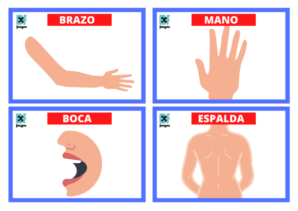 Cartas esquema corporal